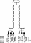 Figure  4