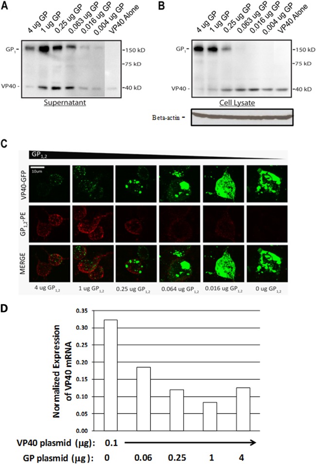 FIG 4