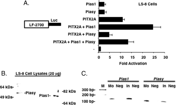 FIGURE 6.