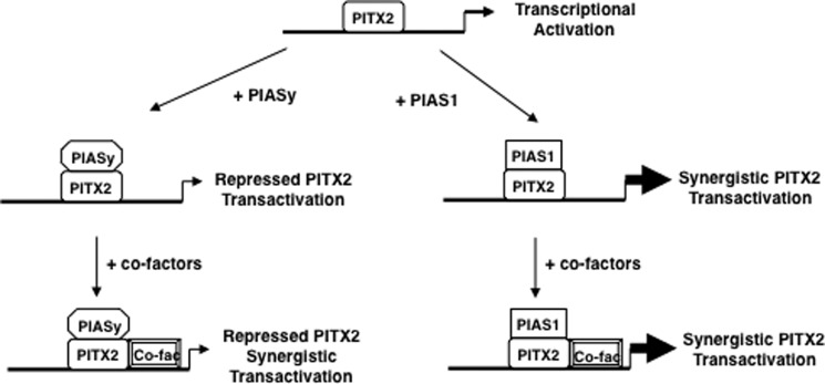 FIGURE 12.