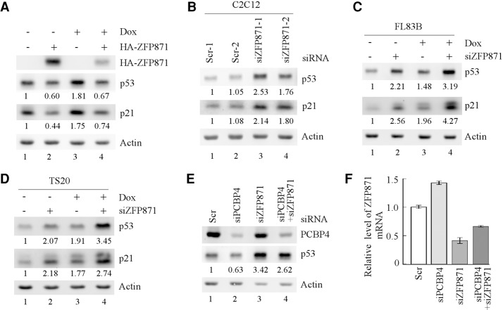 Figure 4.