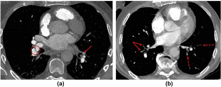 Figure 7