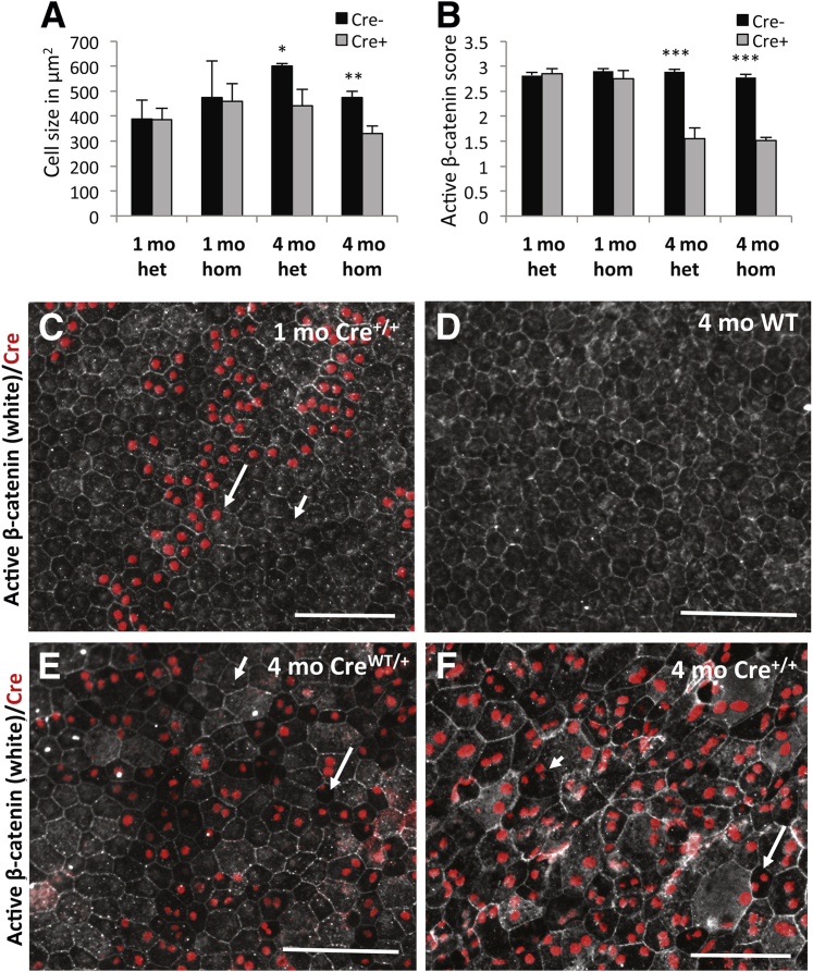 Figure 3