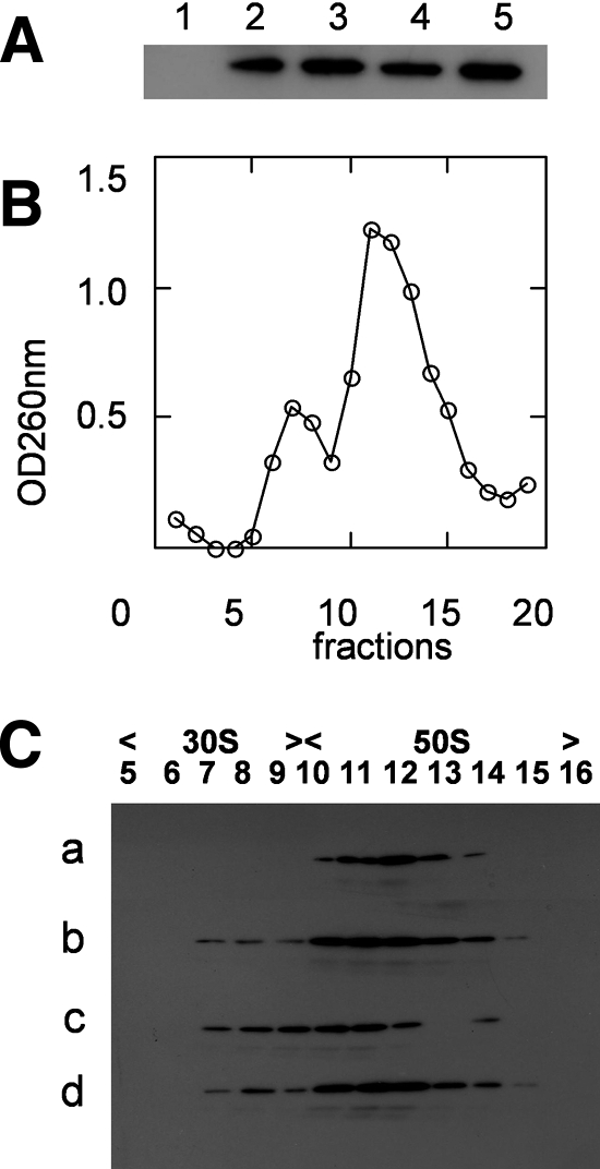 FIG. 5.