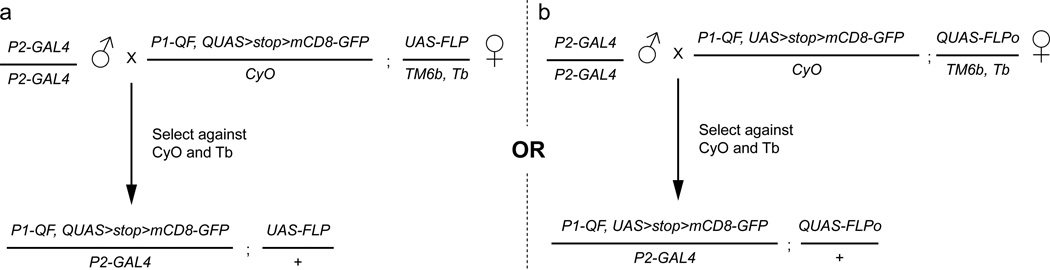 Figure 8