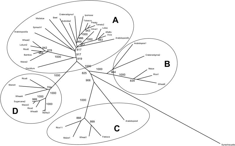 Figure 4.