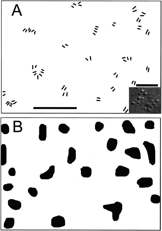 Fig. 9.