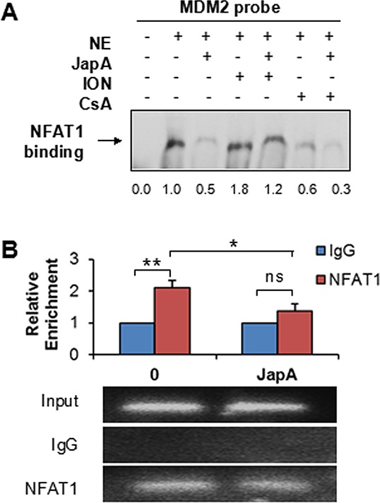 Figure 5