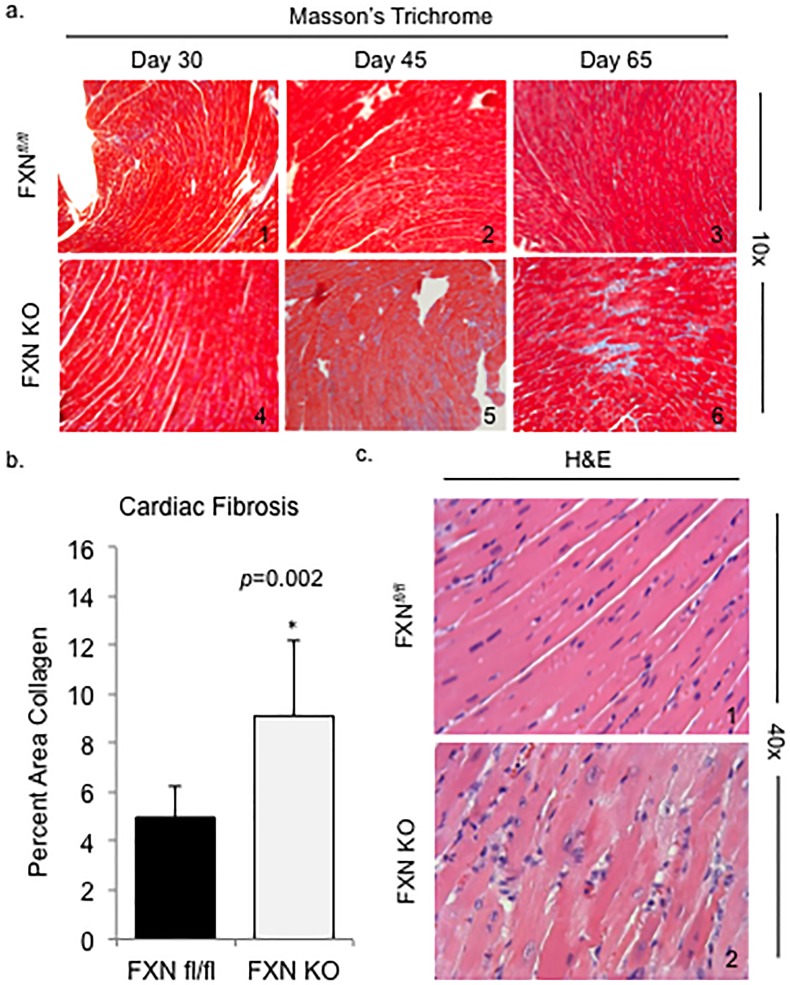 Fig 4