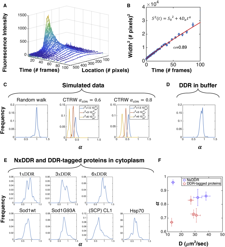 Figure 4