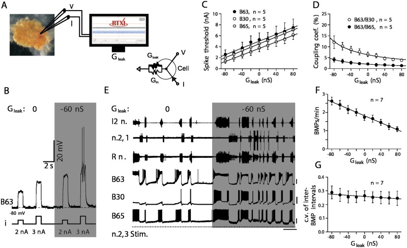 Fig 6