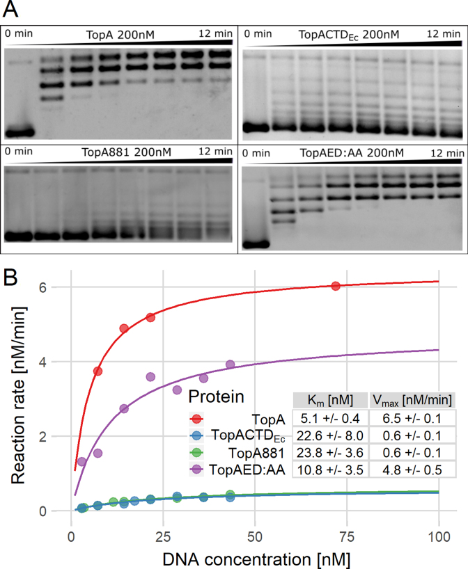 Figure 3.