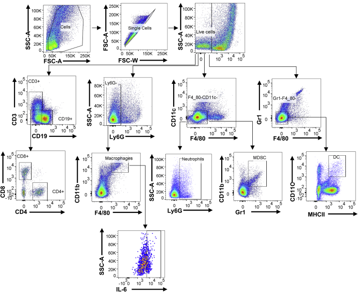 Figure 6