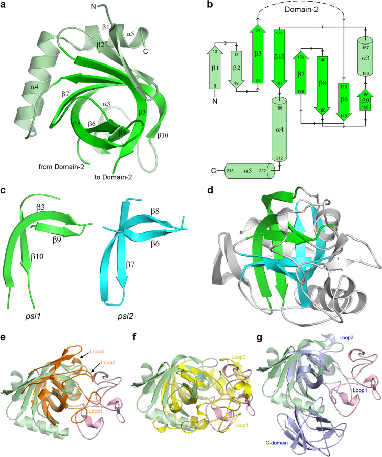 Fig. 3