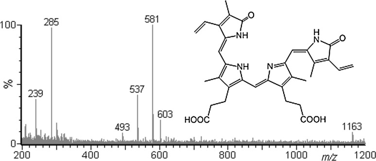 graphic file with name 706_2018_2161_Figa_HTML.jpg
