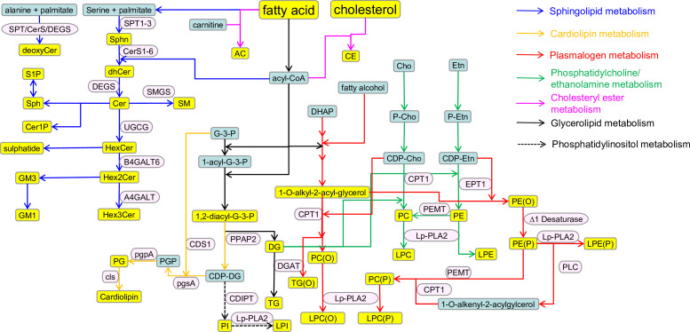 Figure 2—figure supplement 1.