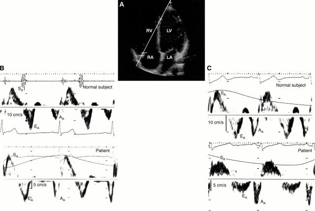 Figure 1  