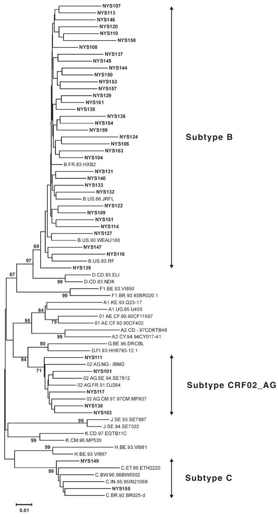 FIGURE 1