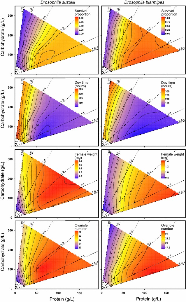 Fig. 1