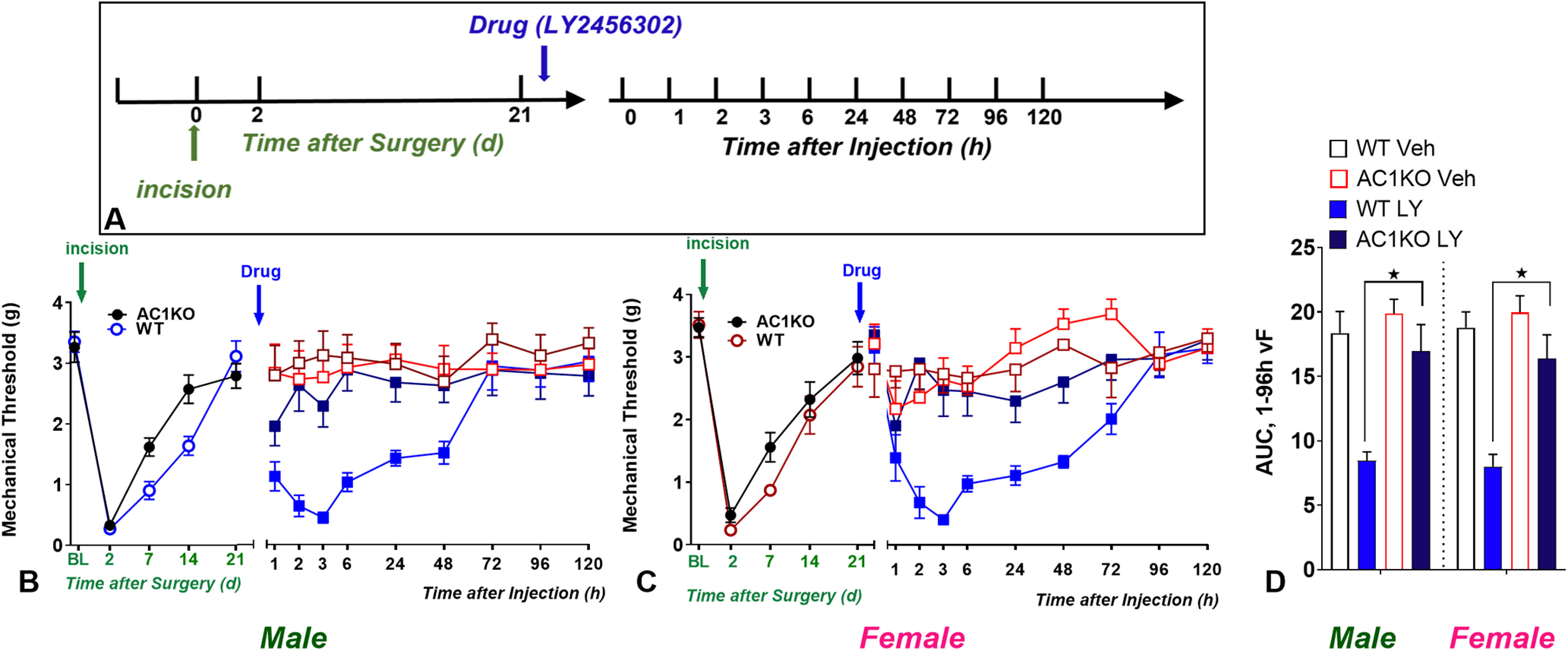 Figure 6.