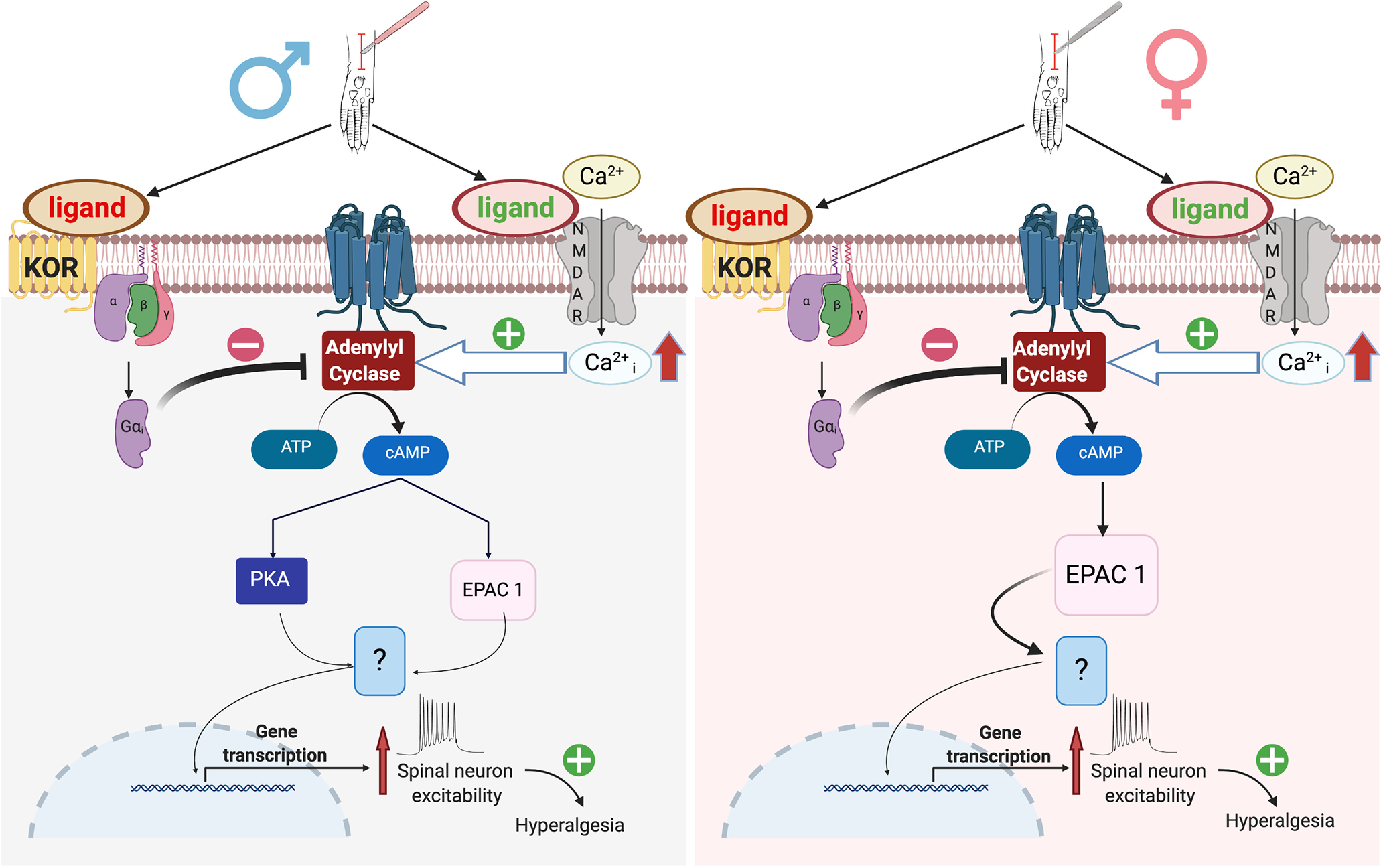 Figure 14.