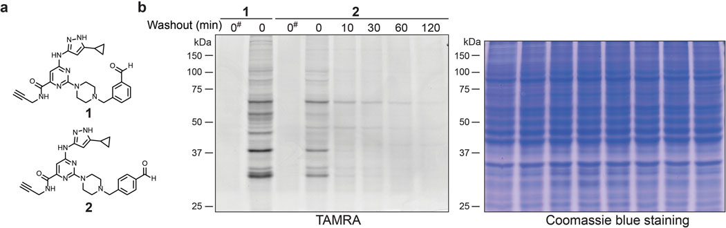 Extended Data Fig. 1