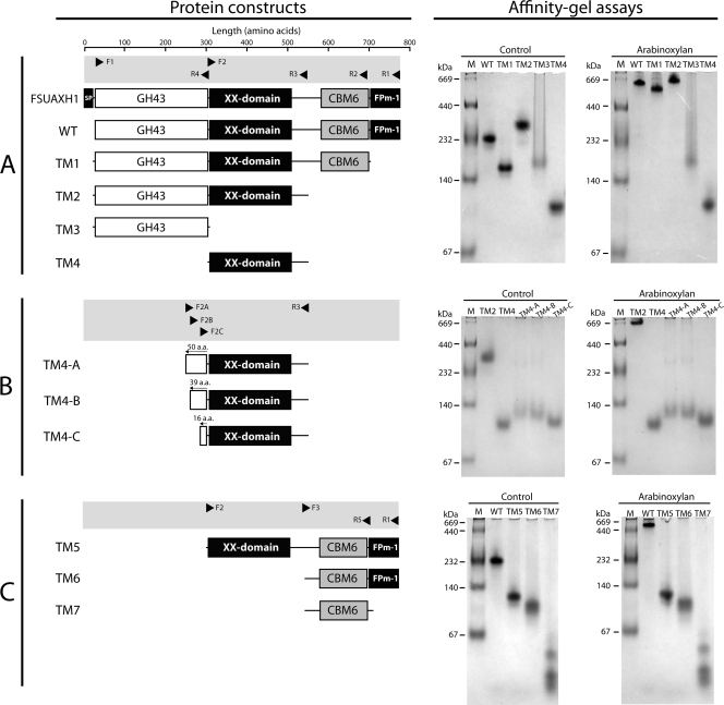 FIG. 2.