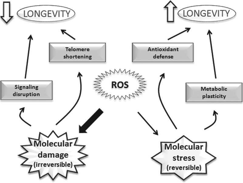 FIG. 8.