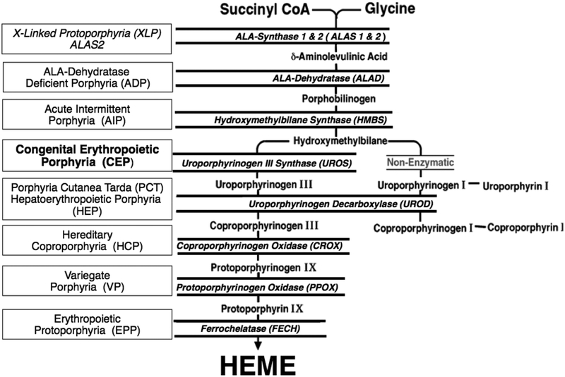 Fig 1.