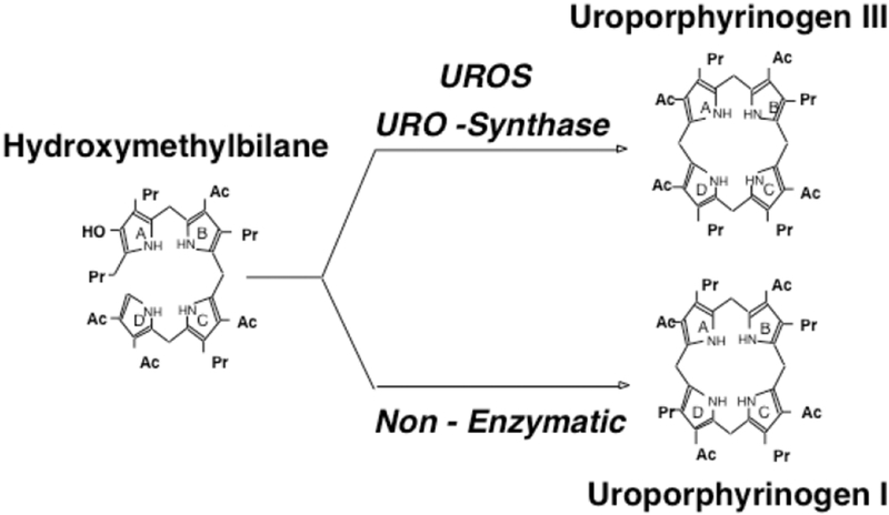 Fig 2.