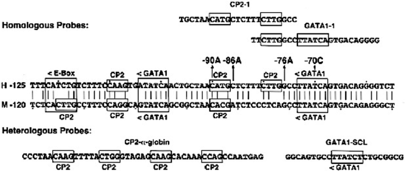 Fig 6.