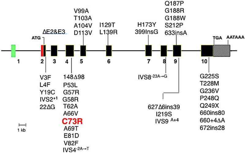 Fig 5.