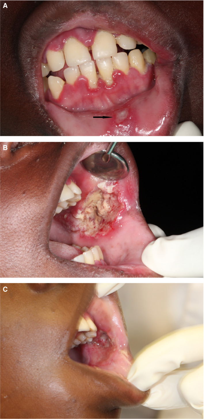 Figure 6