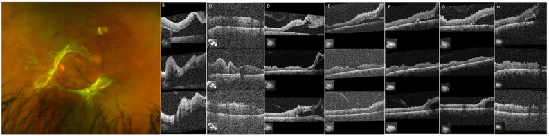 Figure 3.