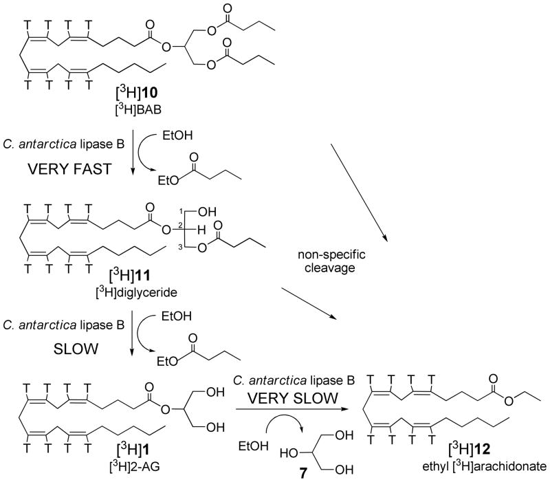 SCHEME 3