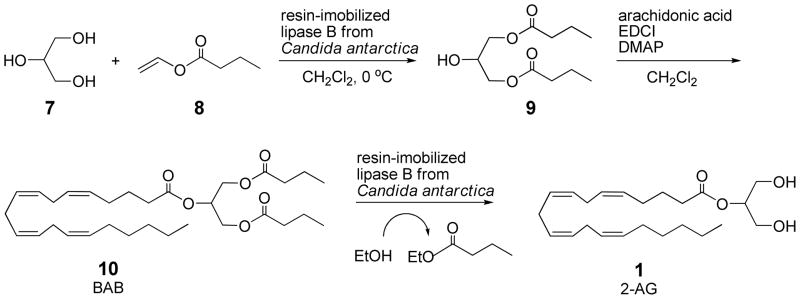 SCHEME 2