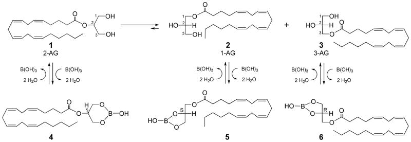 SCHEME 1