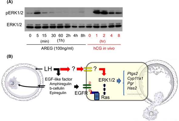 Figure Fig. 3