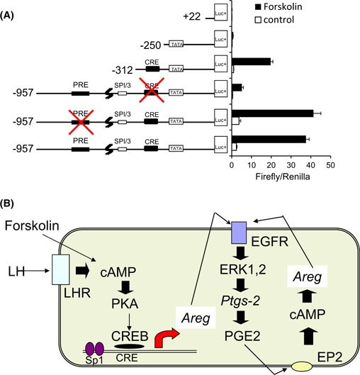 Figure Fig. 2