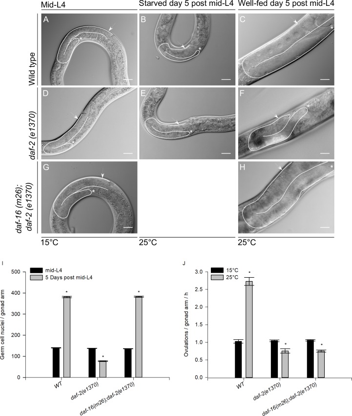 Fig 9