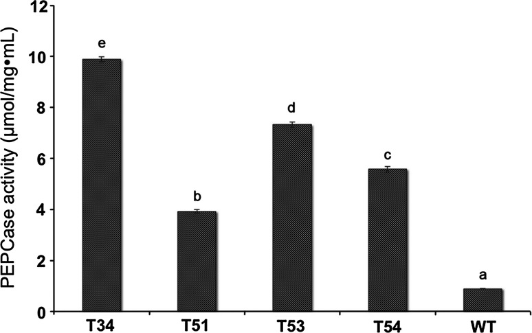 Fig. 7