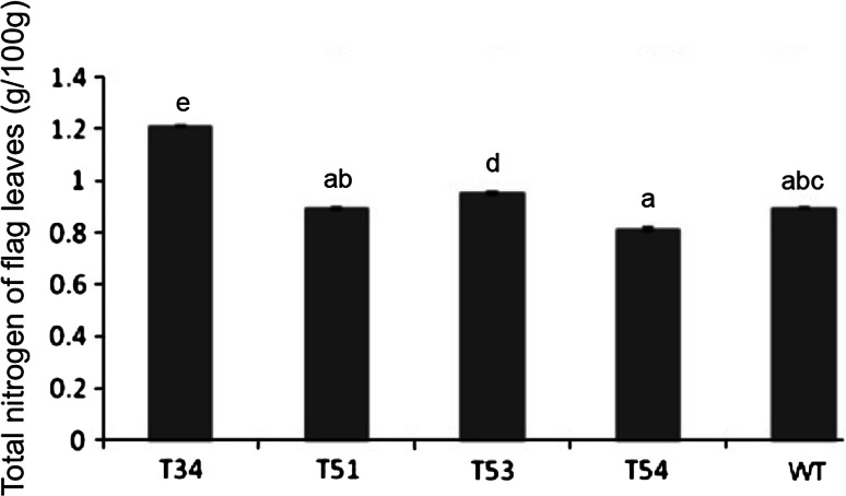 Fig. 9