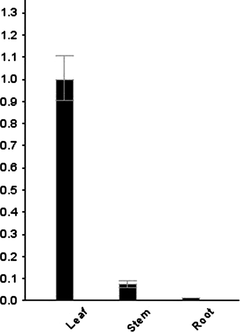 Fig. 6