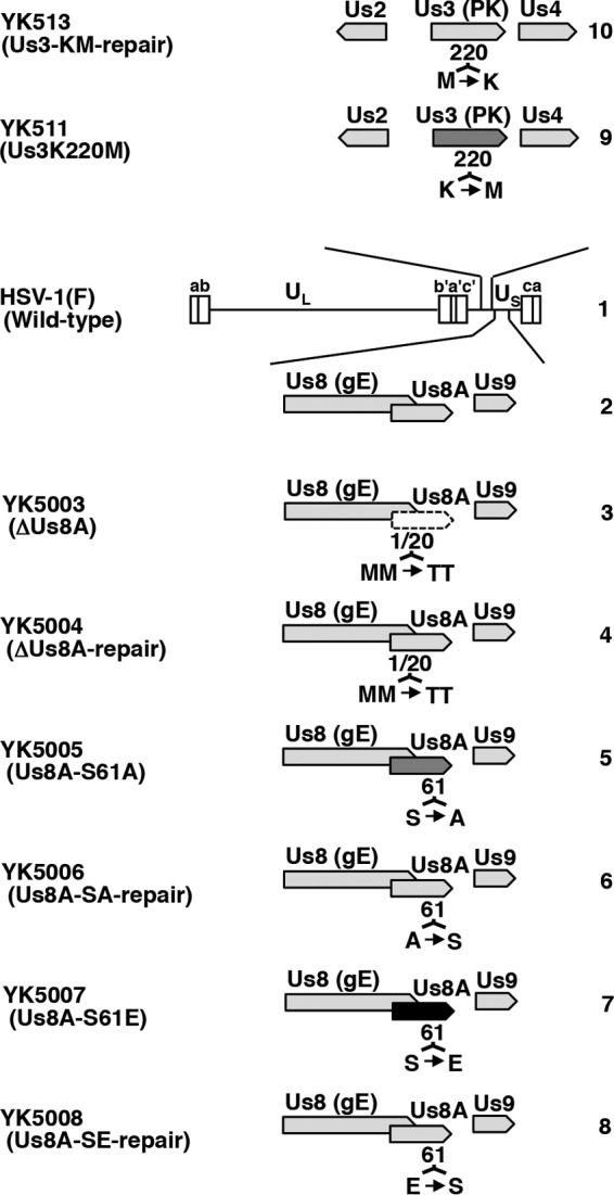 FIG 2