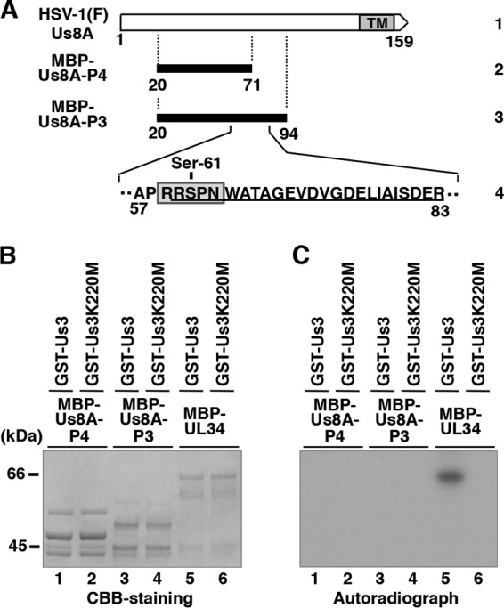 FIG 6