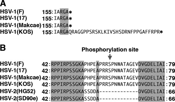 FIG 11