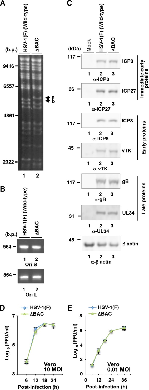 FIG 3