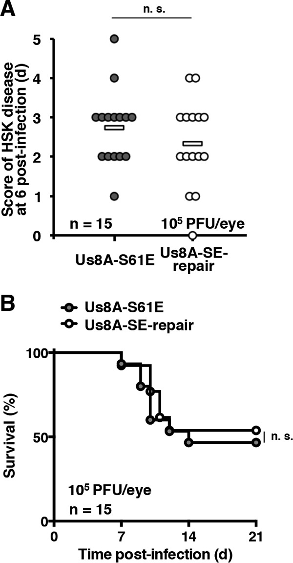 FIG 9