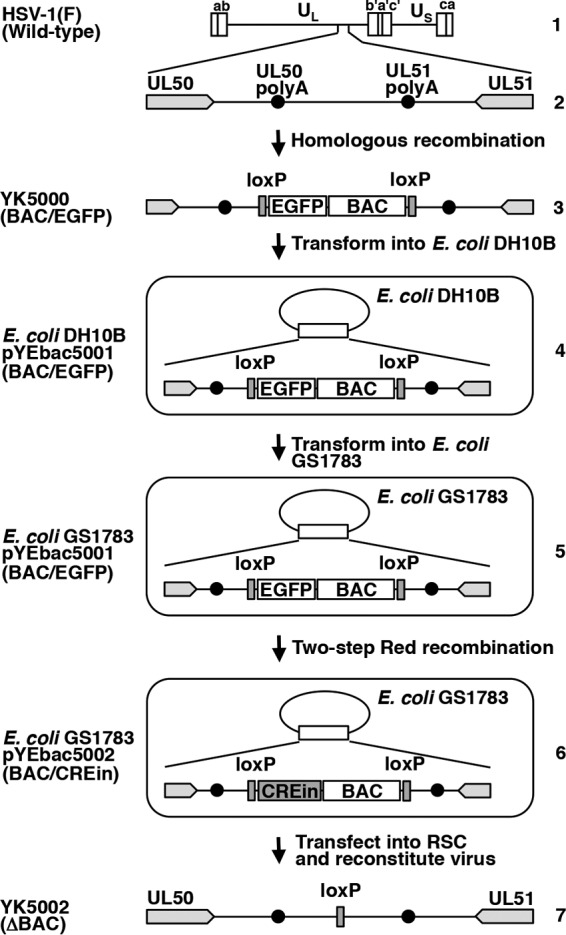 FIG 1