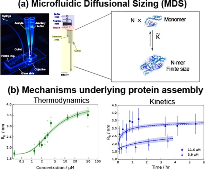 graphic file with name bi-2018-00151t_0005.jpg